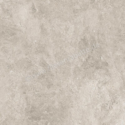  Ceramiche Caesar Haven Shale 60x60 cm Bodenfliese / Wandfliese Matt Eben Naturale AIME | 571700