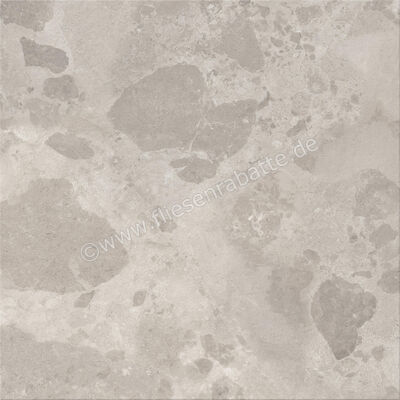  Ceramiche Caesar Bloomstone Silt 120x120 cm Bodenfliese / Wandfliese Matt Eben Naturale AIOS | 571958