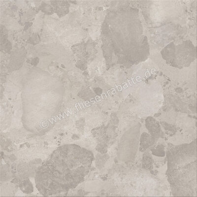  Ceramiche Caesar Bloomstone Silt 120x120 cm Bodenfliese / Wandfliese Matt Eben Naturale AIOS | 571967