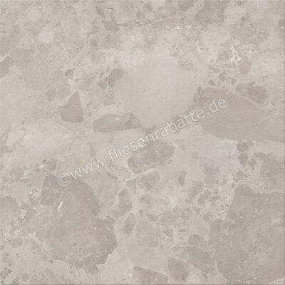  Ceramiche Caesar Bloomstone Silt 120x120 cm Bodenfliese / Wandfliese Matt Eben Naturale AIOS | 571970