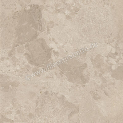  Ceramiche Caesar Bloomstone Shell 60x60 cm Bodenfliese / Wandfliese Matt Eben Naturale AION | 571982