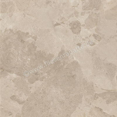  Ceramiche Caesar Bloomstone Shell 60x60 cm Bodenfliese / Wandfliese Matt Eben Naturale AION | 571985