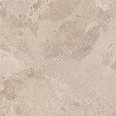  Ceramiche Caesar Bloomstone Shell 60x60 cm Bodenfliese / Wandfliese Matt Eben Naturale AION | 571991