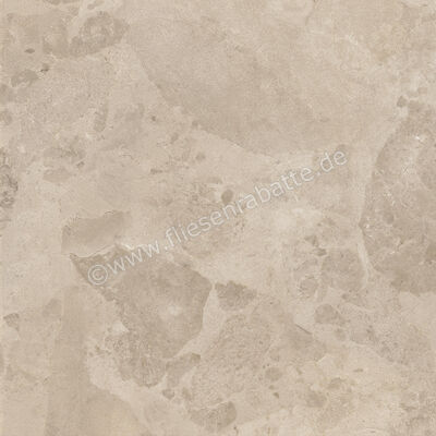  Ceramiche Caesar Bloomstone Shell 60x60 cm Bodenfliese / Wandfliese Matt Eben Naturale AION | 571997