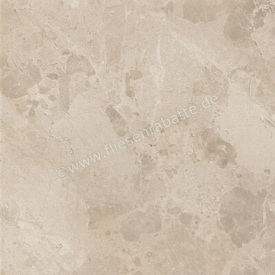  Ceramiche Caesar Bloomstone Shell 60x60 cm Bodenfliese / Wandfliese Matt Eben Naturale AION | 572003
