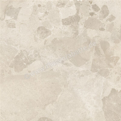  Ceramiche Caesar Bloomstone Drift 60x60 cm Bodenfliese / Wandfliese Matt Eben Naturale AIOM | 572012