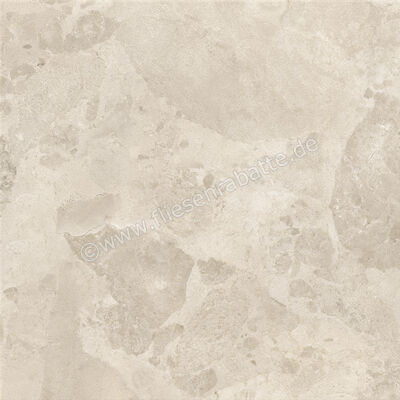  Ceramiche Caesar Bloomstone Drift 60x60 cm Bodenfliese / Wandfliese Matt Eben Naturale AIOM | 572021