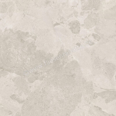  Ceramiche Caesar Bloomstone Petal 60x60 cm Bodenfliese / Wandfliese Matt Eben Naturale AIOL | 572033