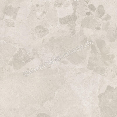  Ceramiche Caesar Bloomstone Petal 60x60 cm Bodenfliese / Wandfliese Matt Eben Naturale AIOL | 572036