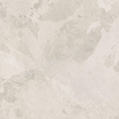 Ceramiche Caesar Bloomstone Petal 60x60 cm Bodenfliese / Wandfliese Matt Eben Naturale AIOL | 572039