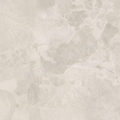  Ceramiche Caesar Bloomstone Petal 60x60 cm Bodenfliese / Wandfliese Matt Eben Naturale AIOL | 572042
