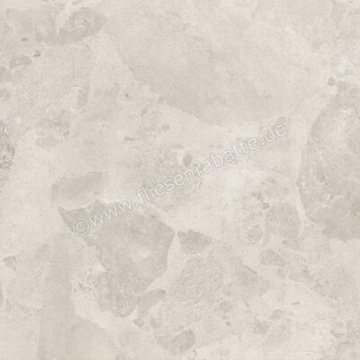  Ceramiche Caesar Bloomstone Petal 60x60 cm Bodenfliese / Wandfliese Matt Eben Naturale AIOL | 572045