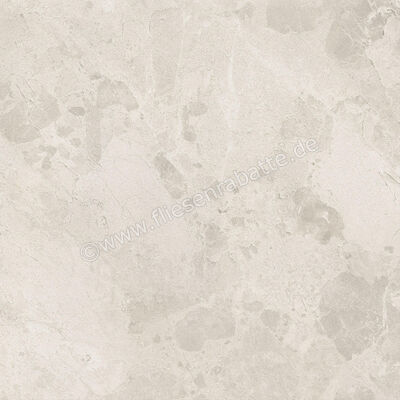  Ceramiche Caesar Bloomstone Petal 60x60 cm Bodenfliese / Wandfliese Matt Eben Naturale AIOL | 572051