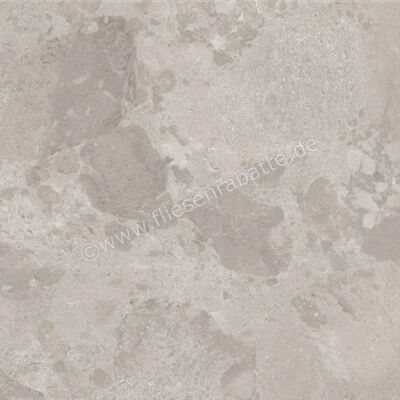  Ceramiche Caesar Bloomstone Silt 60x60 cm Bodenfliese / Wandfliese Matt Eben Naturale AIOK | 572054