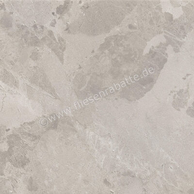  Ceramiche Caesar Bloomstone Silt 60x60 cm Bodenfliese / Wandfliese Matt Eben Naturale AIOK | 572063