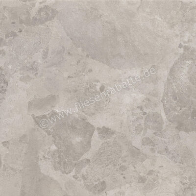  Ceramiche Caesar Bloomstone Silt 60x60 cm Bodenfliese / Wandfliese Matt Eben Naturale AIOK | 572069