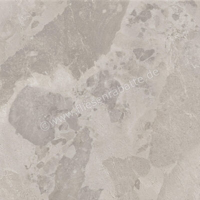  Ceramiche Caesar Bloomstone Silt 60x60 cm Bodenfliese / Wandfliese Matt Eben Naturale AIOK | 572072