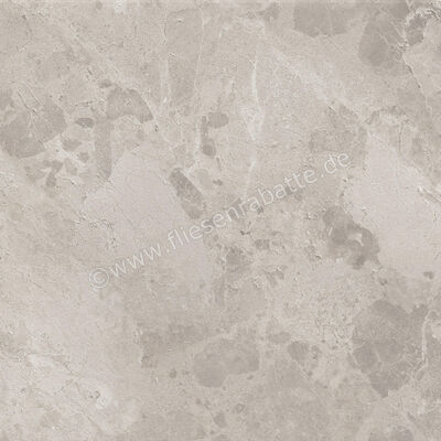  Ceramiche Caesar Bloomstone Silt 60x60 cm Bodenfliese / Wandfliese Matt Eben Naturale AIOK | 572075