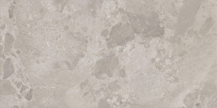  Ceramiche Caesar Bloomstone Silt 60x120 cm Bodenfliese / Wandfliese Matt Eben Naturale AIO4 | 572174