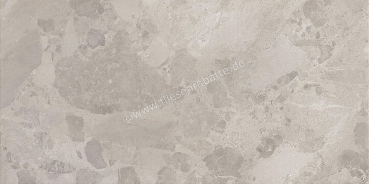  Ceramiche Caesar Bloomstone Silt 60x120 cm Bodenfliese / Wandfliese Matt Eben Naturale AIO4 | 572195