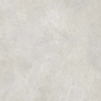  Ragno Realstone_Classica Grigio 120x120 cm Bodenfliese / Wandfliese Matt Eben Naturale RDCU | 575315