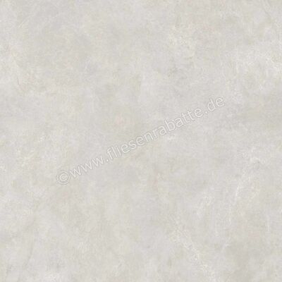  Ragno Realstone_Classica Grigio 120x120 cm Bodenfliese / Wandfliese Matt Eben Naturale RDCU | 575318