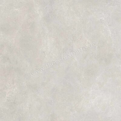  Ragno Realstone_Classica Grigio 120x120 cm Bodenfliese / Wandfliese Matt Eben Naturale RDCU | 575324