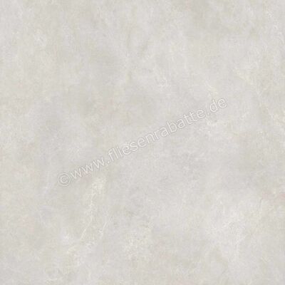  Ragno Realstone_Classica Grigio 120x120 cm Bodenfliese / Wandfliese Matt Eben Naturale RDCU | 575327