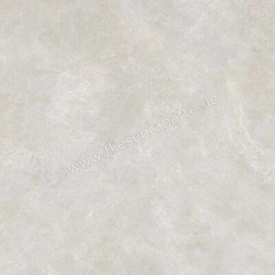  Ragno Realstone_Classica Grigio 120x120 cm Bodenfliese / Wandfliese Matt Eben Naturale RDCU | 575336
