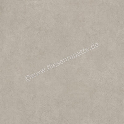  Ragno Solida Grigio 100x100 cm Bodenfliese / Wandfliese Matt Eben Naturale RDEN | 575906
