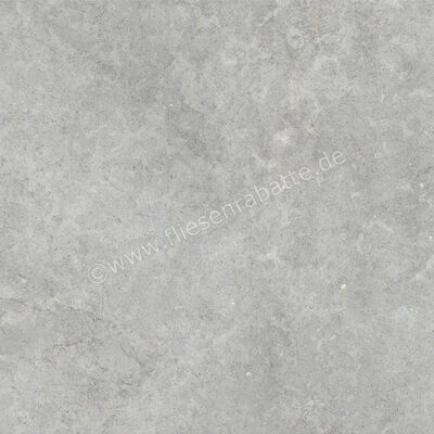  Ragno Richmond XT20 Silver 100x100x2 cm Terrassenplatte Matt Eben Naturale RCYT | 577301