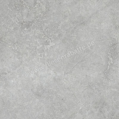  Ragno Richmond XT20 Silver 100x100x2 cm Terrassenplatte Matt Eben Naturale RCYT | 577304