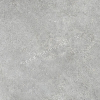  Ragno Richmond XT20 Silver 100x100x2 cm Terrassenplatte Matt Eben Naturale RCYT | 577310