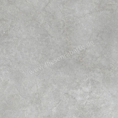  Ragno Richmond XT20 Silver 100x100x2 cm Terrassenplatte Matt Eben Naturale RCYT | 577313