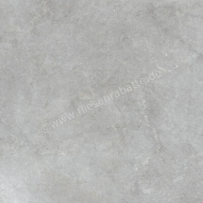  Ragno Richmond XT20 Silver 100x100x2 cm Terrassenplatte Matt Eben Naturale RCYT | 577319