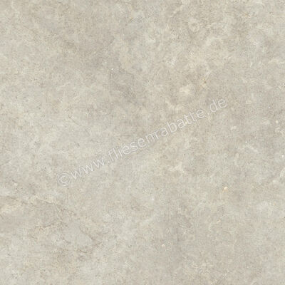  Ragno Richmond XT20 Taupe 100x100x2 cm Terrassenplatte Matt Eben Naturale RCYV | 577349
