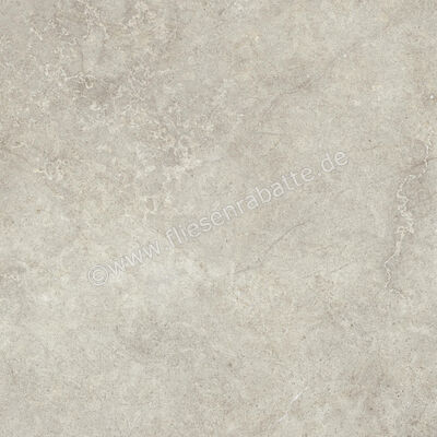  Ragno Richmond XT20 Taupe 100x100x2 cm Terrassenplatte Matt Eben Naturale RCYV | 577352