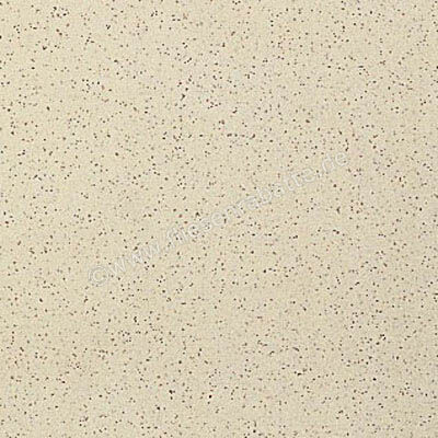  Ragno Galassia Panna 20x20 cm Bodenfliese / Wandfliese Matt Eben Naturale 4M28 | 577373