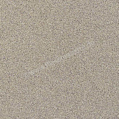  Ragno Galassia Fumo 20x20 cm Bodenfliese / Wandfliese Matt Eben Naturale 4M32 | 577376