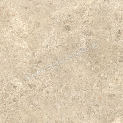  Atlas Concorde Nyra Ambrosia 60x60 cm Bodenfliese / Wandfliese Matt Eben Naturale HEWX | 578921