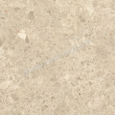  Atlas Concorde Nyra Ambrosia 60x60 cm Bodenfliese / Wandfliese Matt Eben Naturale HEWX | 578927