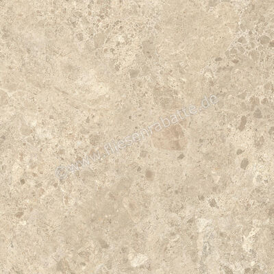  Atlas Concorde Nyra Ambrosia 60x60 cm Bodenfliese / Wandfliese Matt Eben Naturale HEWX | 578930