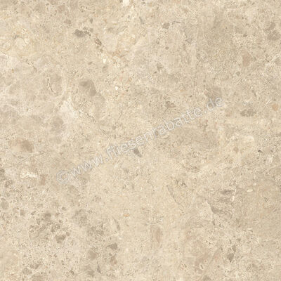  Atlas Concorde Nyra Ambrosia 60x60 cm Bodenfliese / Wandfliese Matt Eben Naturale HEWX | 578933