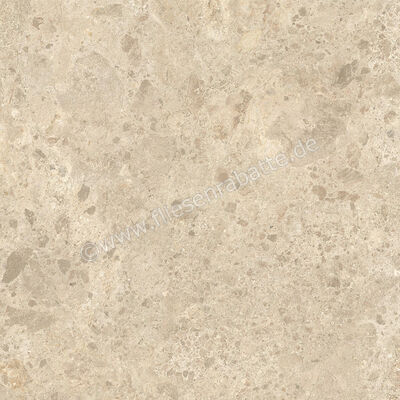  Atlas Concorde Nyra Ambrosia 60x60 cm Bodenfliese / Wandfliese Matt Eben Naturale HEWX | 578936