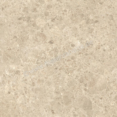  Atlas Concorde Nyra Ambrosia 60x60 cm Bodenfliese / Wandfliese Matt Eben Naturale HEWX | 578939