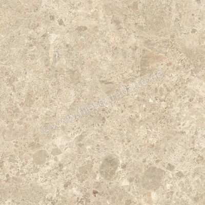  Atlas Concorde Nyra Ambrosia 60x60 cm Bodenfliese / Wandfliese Matt Eben Naturale HEWX | 578942