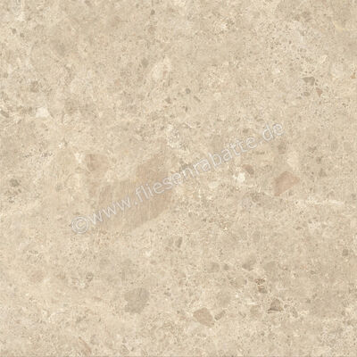  Atlas Concorde Nyra Outdoor Ambrosia 80x80x2 cm Terrassenplatte Matt Eben Sensitech HEW0 | 578948