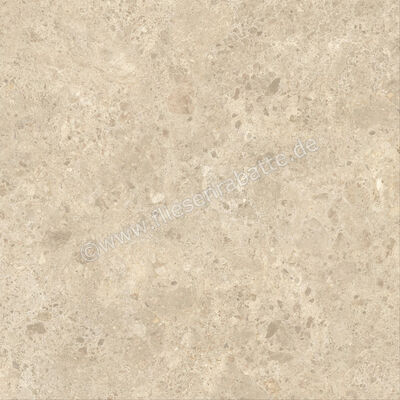  Atlas Concorde Nyra Ambrosia 80x80 cm Bodenfliese / Wandfliese Matt Eben Naturale HEWY | 578954