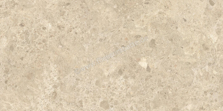  Atlas Concorde Nyra Outdoor Ambrosia 60x120x2 cm Terrassenplatte Matt Eben Sensitech HEWZ | 579041