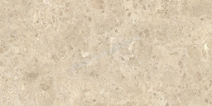  Atlas Concorde Nyra Outdoor Ambrosia 60x120x2 cm Terrassenplatte Matt Eben Sensitech HEWZ | 579050